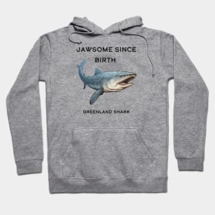 Greenland Shark Pun Hoodie